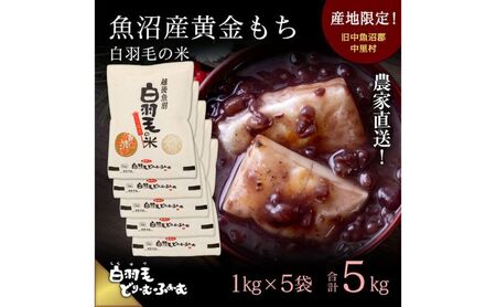 yʔNtzߘa7NY _ƒIYuHт̕āv(1kg×5) 5kg  