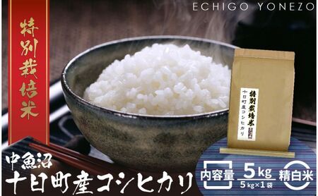中魚沼 十日町産 コシヒカリ 特別栽培米 5kg 昭和レトロ ギフト