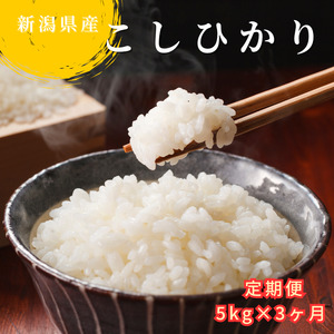 ≪ 定期便 ≫ 無洗米 令和5年産 コシヒカリ 5kg × 3ヶ月 連続(計 15kg ) 新潟県産 洗わずに炊ける 精米 し立てをお届け 新潟 のど真ん中 見附市 こしひかり 米 お米 白米 国産 ごはん ご飯