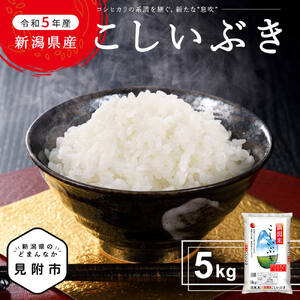 令和5年度 新潟 県 産 こしいぶき 5kg コシヒカリ を受け継ぐ美味しさ 精米 し立てをお届け 新潟 のど真ん中 見附市 米 お米 白米 国産 ごはん ご飯 JA えちご 中越 指定米