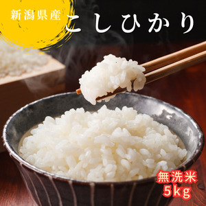 無洗米 新潟県産 令和6年産 コシヒカリ 5kg 精米 したてをお届け 新潟のど真ん中 見附市 こしひかり 米 お米 白米 国産 ごはん ご飯