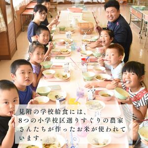 令和6年産[新潟県見附市の新ブランド米]小学校米 5kg