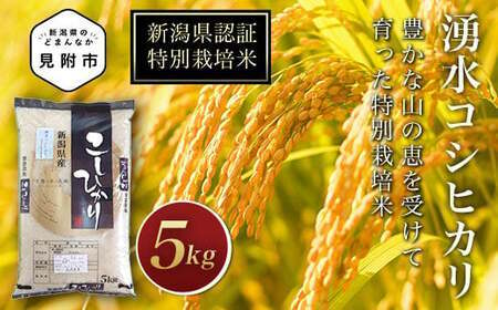 令和6年産 新潟県産コシヒカリ(県認証特別栽培米)湧水コシヒカリ精米5kg