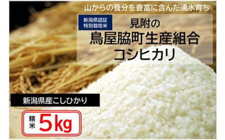 令和6年産 新潟産コシヒカリ(県認証特別栽培米)「鳥屋脇町生産組合コシヒカリ」精米5kg