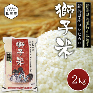 令和6年産 新潟産コシヒカリ(県認証特別栽培米)「甘うまミネラル米 獅子米」精米2kg