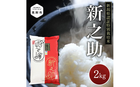 令和6年産 新潟県産 新之助 精米 2kg