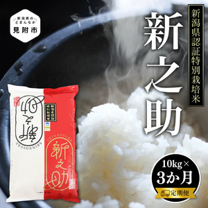 [数量限定・定期配送] 令和6年産 新潟県産 新之助 精米 30kg(10kg(5kg×2) × 3か月間発送)