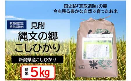 令和6年産 新潟県産 縄文の郷コシヒカリ 精米 5kg