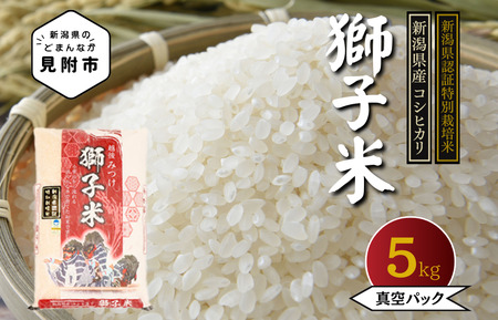真空パック米「甘うまミネラル米獅子米」精米5kg