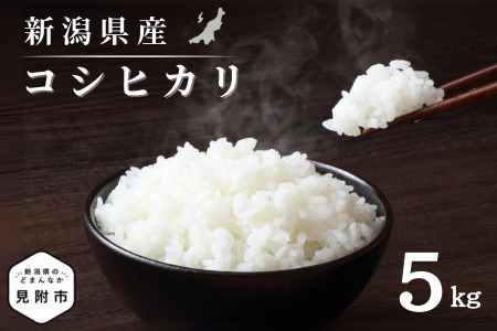 [ふるなびWEEK対象]無洗米 新潟県産 令和6年産 コシヒカリ 5kg 精米 したてをお届け 新潟のど真ん中 見附市 こしひかり 米 お米 白米 国産 ごはん ご飯 FN-Limited