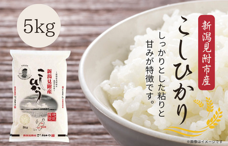 新潟見附市産コシヒカリ5kg