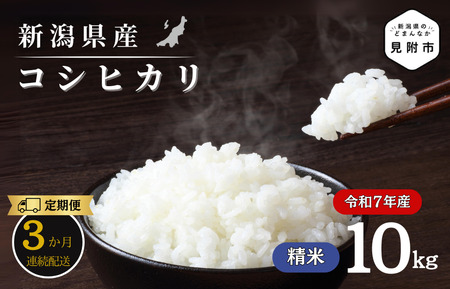 【3か月定期便】R7年産 新潟県産 コシヒカリ 10kg （精米） 新潟のど真ん中 見附市 こしひかり 米 お米 白米 国産 ごはん ご飯