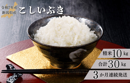 �y3��������ցzR7�N�Y �V�����Y �������Ԃ� 10kg �i���āj