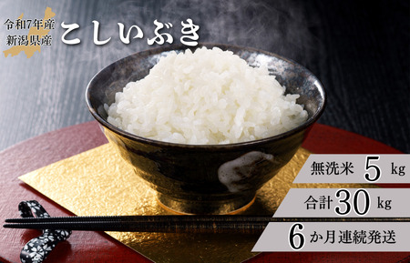 【6か月定期便】R7年産 新潟県産 こしいぶき 5kg （無洗米）