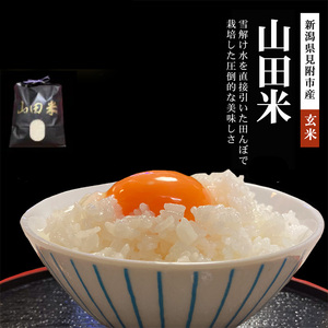 [ファーム喜左ヱ門]令和7年産 山田米(玄米) 5kg