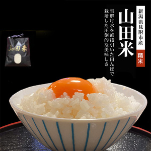 [ファーム喜左ヱ門]令和7年産 山田米 精米(白米) 5kg