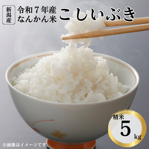 令和7年産 新潟産なんかん米こしいぶき 精米5kg