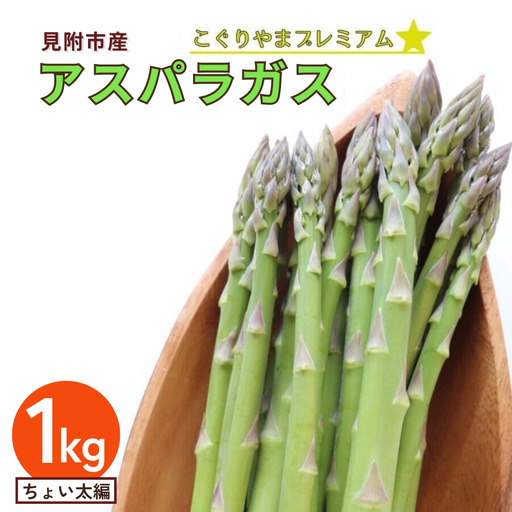 「給食にファームのアスパラ出る日は休めない!」と中学生に言われたアスパラガス ちょい太編 1kg