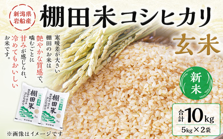 【新米受付・令和7年産米】新潟県村上市岩船産 棚田米 コシヒカリ 玄米 10kg NAB4041