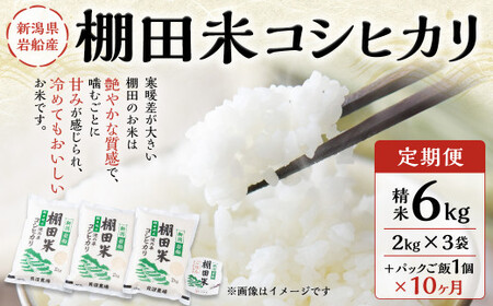 [定期便:10ヶ月連続でお届け][令和6年産米]岩船産 棚田米コシヒカリ 6kg(2kg×3袋)+ 棚田米コシヒカリのパックごはん(150g×1個)×10ヶ月