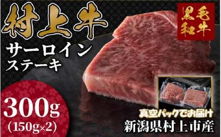 ㋍ T[CXe[L 150g×2 C4090