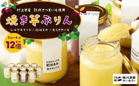 【数量限定】【村上市産 熟成さつまいも使用】焼き芋ぷりん3種（紅はるか・シルクスイート・むらさきいも）×4個　計12個セット 1040006