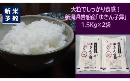 【新米受付・令和7年産米】大粒でしっかり食感 新潟県村上市岩船産 ゆきん子舞 3kg（1.5kg×2袋） 1039042N　白米 新潟 岩船 ゆきん子舞 一等米 農家直送 あっさり 低温倉庫保管 新耕農産