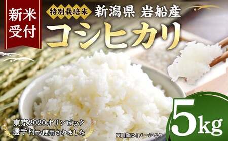 【新米受付・令和7年産米】特別栽培米新潟県村上市岩船産コシヒカリ5kg 1029003N