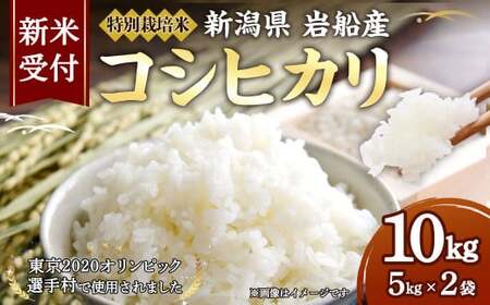 【新米受付・令和7年産米】特別栽培米 新潟県村上市岩船産コシヒカリ 10kg 1029004N