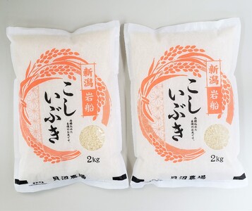 yߘa7NYāz Ԃ 4kgi2kg×2j VsDY@1067100