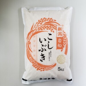 yߘa7NYāz Ԃ 5kgi5kg×1j VsDY@1067101