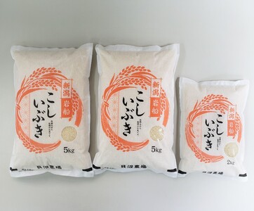 yߘa7NYāz Ԃ 12kgi5kg×2A2kg×1j VsDY@1067104