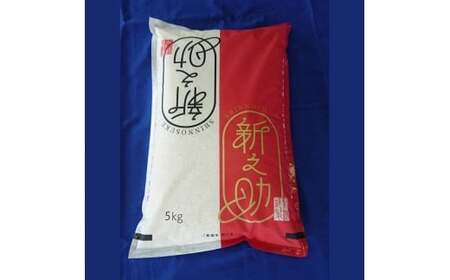 【令和7年産米】新潟県村上市 新之助5kg　1033005