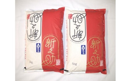 【令和7年産米】【無洗米】 新潟県村上市 岩船産 新之助10kg（5kg×2袋）1029014
