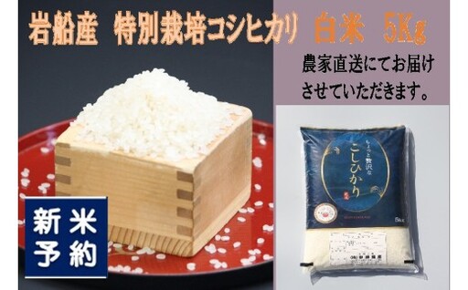 [新米受付・令和8年産米]新潟県村上市岩船産 特別栽培米 ちょっと贅沢なコシヒカリ 5kg 1039047N