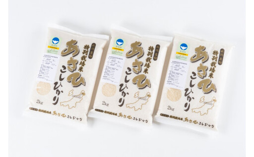 【令和7年産米】【6ヶ月定期便】新潟県村上市産 特別栽培米 コシヒカリ 36kg （6kg×6ヶ月）コース 1027035