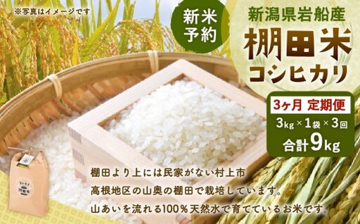 [新米受付・令和8年産米][定期便:3ヶ月連続でお届け]新潟県村上市岩船産 棚田米コシヒカリ 3kg×3ヶ月 1011009N