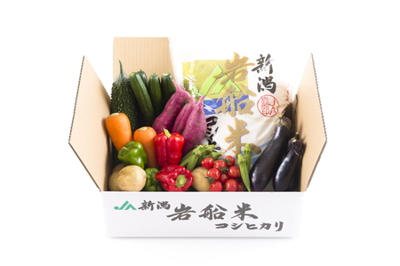B4026 【令和3年産米】岩船米コシヒカリと季節の野菜セット②