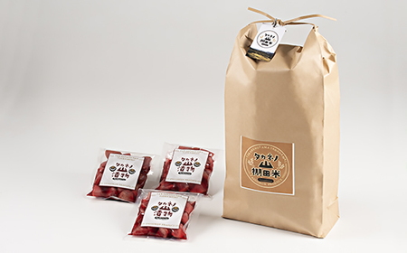 yԌEߘa7NYāzVsDY Ic RVqJ10kgEԃJuЂ900gZbg@C4018