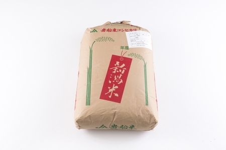 yߘa7NYāzVs DYRVqJiāj30kg@D4013