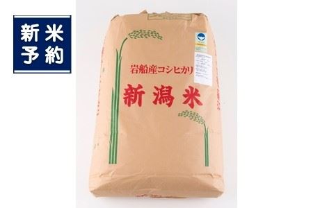 [新米受付・令和6年産米]NG4005 新潟県村上市産 特別栽培米コシヒカリ玄米900kg