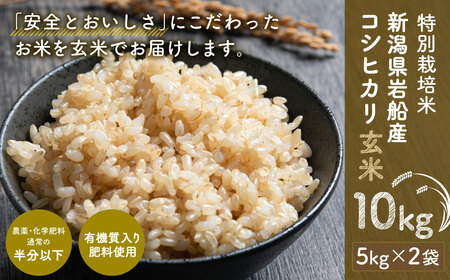 [令和5年産米]特別栽培米 新潟県岩船産 コシヒカリ 玄米 10kg