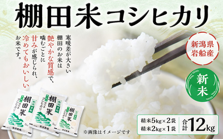 [新米受付・令和7年産米]NB4107 新潟県村上市岩船産 棚田米コシヒカリ12kg