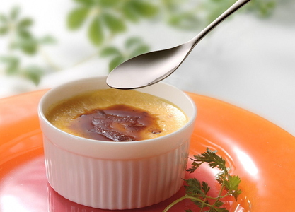 TD12 TSUBAME なめらかスプーン5本組