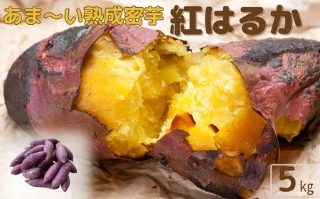 さつまいも 『紅はるか』 5kg ねっとり 蜜のように甘い熟成芋 サツマイモ 農家直送 数量限定 新潟県 糸魚川市 株式会社 清耕園ファーム熟成密芋 紅はるか 5kg 農家直送 ねっとり 蜜のように甘ーい しっとり甘い 食べごろ美味しいおをお届けします!