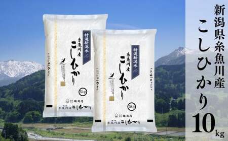 令和6年産新米 新潟県糸魚川産コシヒカリ 10kg(5kg×2袋) 名水と翡翠の郷 2024年 堀敬商事[米 お米 白米 こめ コメ ご飯 精米 ライス ブランド米 こしひかり 新潟県 糸魚川 2024 米どころ新潟 食品 人気 おすすめ 10キロ] コシヒカリ