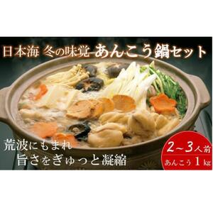 冬の味覚日本海直送便「あんこう鍋」2~3人前カット野菜付き簡単お手軽セット 糸魚川 磯貝鮮魚店 新潟県