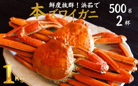 日本海直送 本ズワイガニ 500g以上 2杯 計1kg(指定日・年末年始配送不可)濃厚味噌 浜茹で 茹でたてをお届けします カニ 蟹 新潟県 糸魚川 伝兵水産[カニ かに ズワイガニ ずわいがに ]