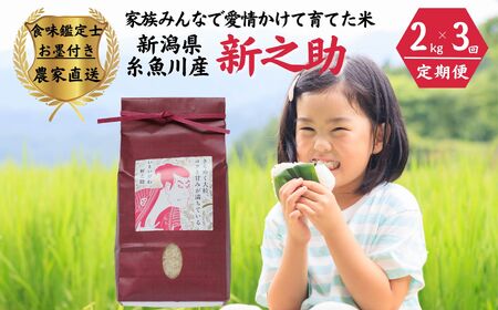 令和7年産[定期便]新之助 2kg×3ヶ月 計6kg 米・食味鑑定士お墨付き 家族みんなで愛情かけて育てた米 新潟県糸魚川産 2025年 しんのすけ 白米 百姓や伝六[ お米 こめ 食品 人気 おすすめ ギフト 新潟県の新しいブランド 農家直送 2キロ 精米 3回 3か月 新之助 ]
