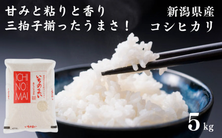 令和6年産新米 新潟県産コシヒカリ「いちのまい」5kg 米・食味鑑定士お墨付き 令和6年産 精米したてを発送 こしひかり 糸魚川 白米[こしひかり コシヒカリ コシヒカリこしひかり コシヒカリ]